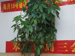 -郑远元·修脚·足道(华茂苑店)