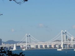 -广安大桥