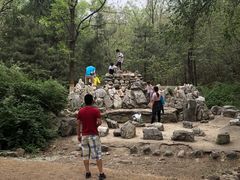 -云岗森林公园