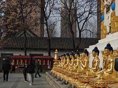 -护国法轮寺