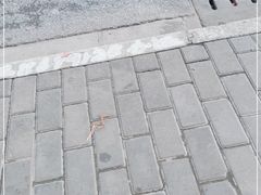 -胖哥川菜馆(武东路店)