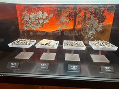 -河姆渡遗址博物馆