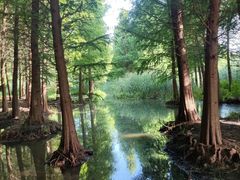 -捞渔河湿地公园