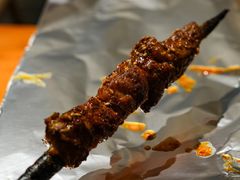 红柳大串-城边边烧烤-魏晋烤肉旗舰店
