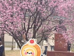 -武汉大学-樱园