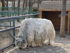 -长白岛森林公园