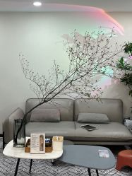 -小洁美甲美睫半永久定妆
