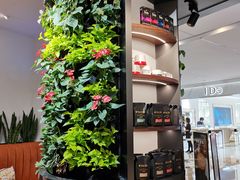 -Peet's Coffee皮爷咖啡(德基店)