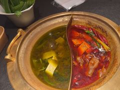 -熊喵来了火锅(四平万达第56分店)