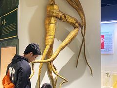 -广东中医药博物馆