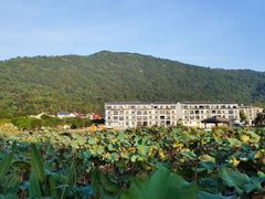 -瑞安圣井山景区