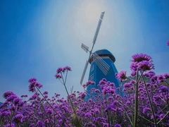 -东海半边山旅游度假区