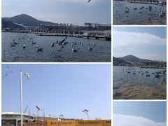 -大连老虎滩海洋公园