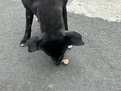-首开·龙湖成都西宸天街