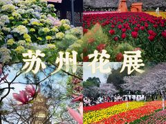-苏州上方山国家森林公园