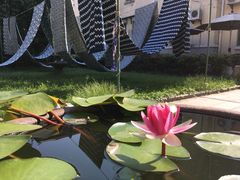 -中国蓝印花布馆