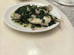 -凤城礼记鱼翅海鲜酒家(新马路总店)