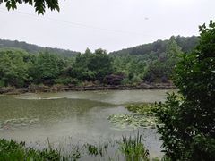-铁山坪森林公园