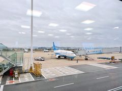 -厦门高崎国际机场-T3航站楼