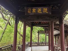 -上海佘山国家森林公园天马山园