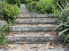 -东莞植物园