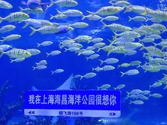 -上海海昌海洋公园