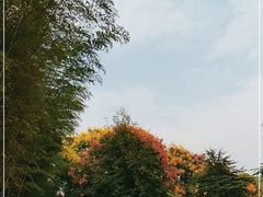 -苏州环秀晓筑养生度假村