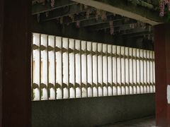 -房湖公园