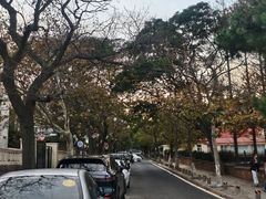 -青岛第三海水浴场