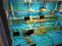 水产区-北戴河庆山饭店·海鲜砂锅粥(北戴河黑石路店)