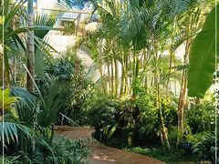 -国家植物园南园