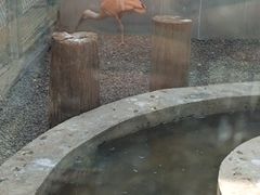 -青藏高原野生动物园