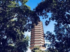 -八大处公园