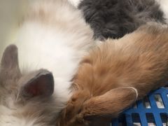 -非常粥道(天宝东街店)