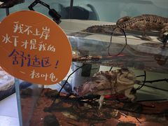 -中国湿地博物馆