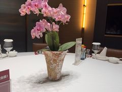 -红鼎豆捞·专注品质海鲜20年(宝丰路店)