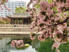 -元大都城垣遗址公园