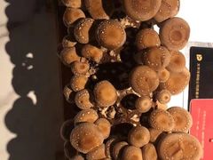 -大喜牛鲜牛肉火锅(世纪金源店)