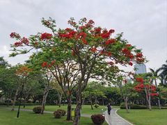-白鹭洲公园