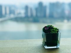 -三迪希尔顿酒店·星空酒廊