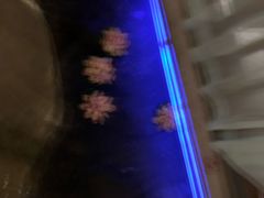 -淀里船宴(卓达店)