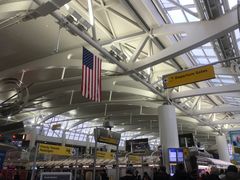 -约翰·菲茨杰拉德·肯尼迪国际机场