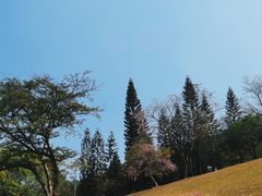-广州市白云山风景名胜区