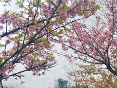 -湘湖金融镇