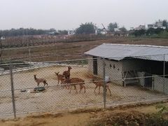 -天适樱花悠乐园