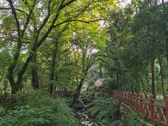 -素山寺森林公园