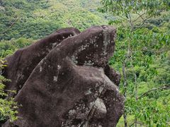 -海南霸王岭国家森林公园