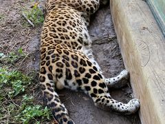 -大连森林动物园