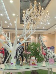-同远QQBABY亲子摄影(北京路店)