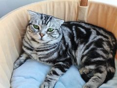 -Catmate·猫肥家润(金润铂宫店)
